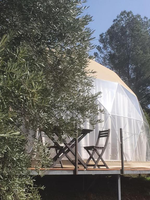 Glamping geodesic dome in secluded eco retreat - imagen 4