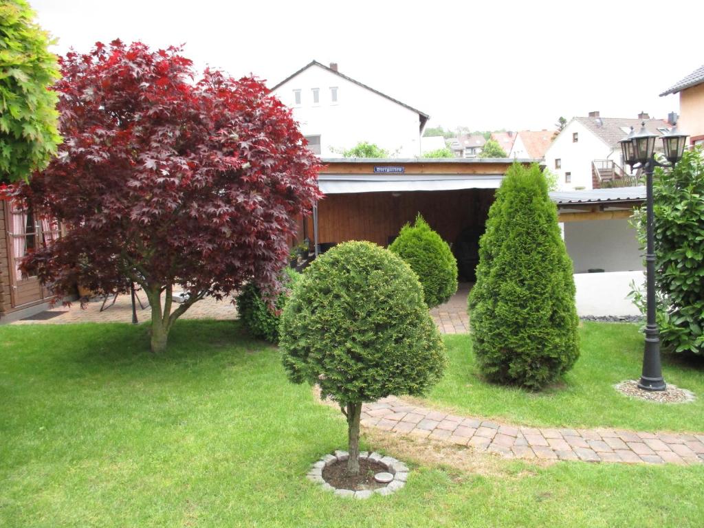a group of bushes and trees in a yard at Ferienwohnung in Hameln am Wald in Hameln