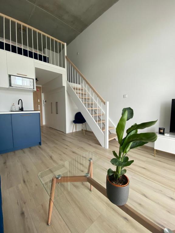 Apartament Wrocław-Lotnisko - 6