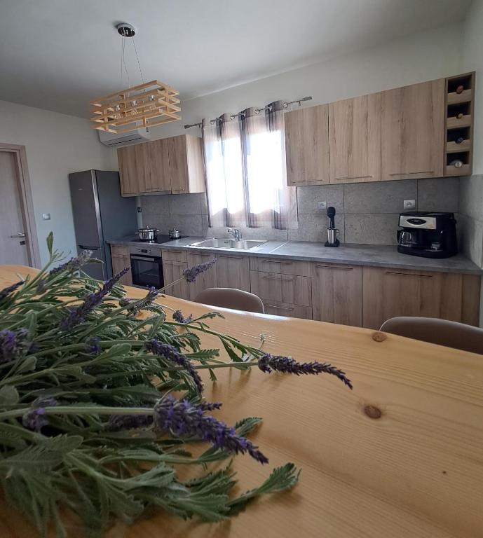 Kuchyň nebo kuchyňský kout v ubytování Villa Adeiata