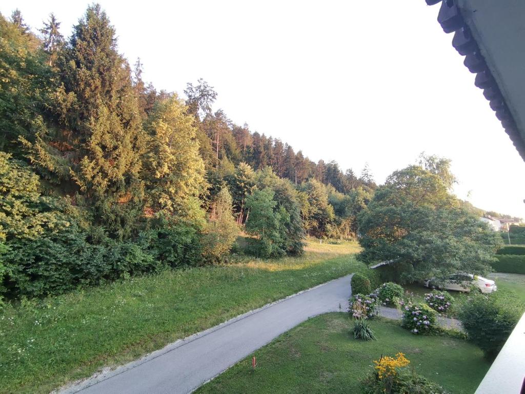 Vonkajšia záhrada v ubytovaní Privatzimmer STEINER