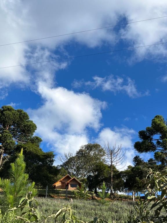 a house in a field with a blue sky at Chalé Pinheiros da Mantiqueira in Camanducaia