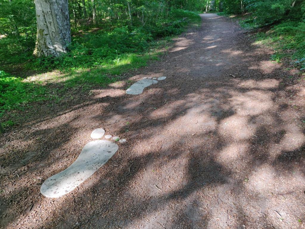 Příroda nedaleko apartmánu