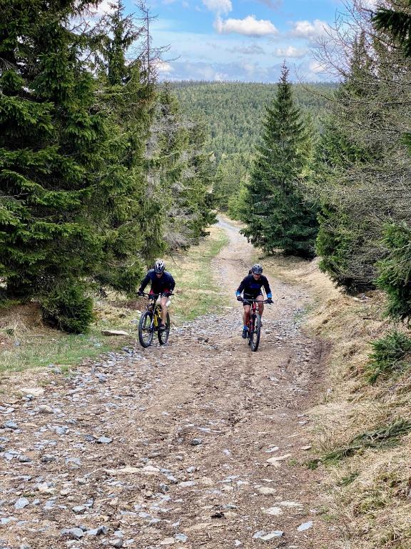Jazda na bicykli v okolí ubytovania SW Apartamenty Czarna Góra