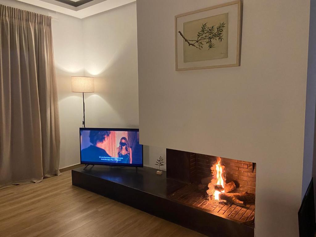 TV a/nebo společenská místnost v ubytování OLIVOMARE
