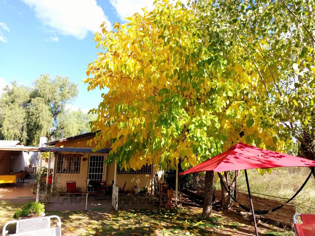 einen roten Regenschirm vor einem Haus mit einem Baum in der Unterkunft La Pepita in Ciudad Lujan de Cuyo