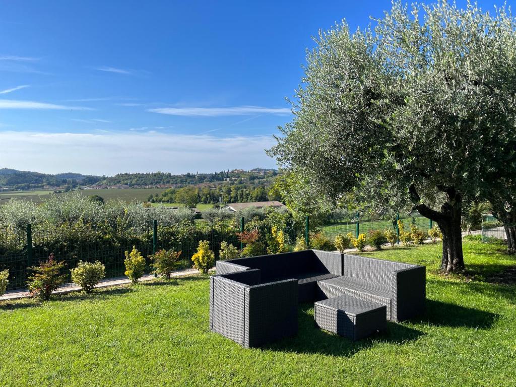 A garden outside Sweet home