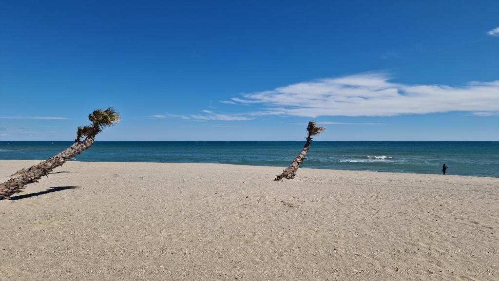 Zdjęcie z galerii obiektu Appartement 150 mètres de la mer w mieście Le Barcarès