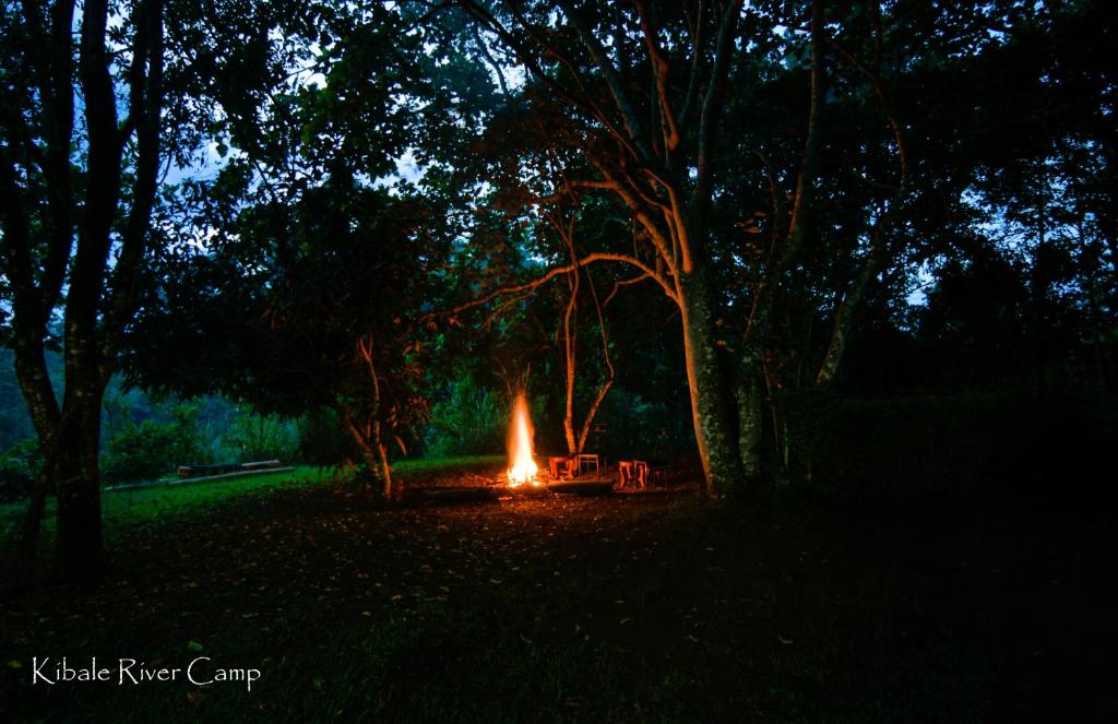 een vuurplaats midden in een bos 's nachts bij Kibale River Camp in Lake Nyabikere