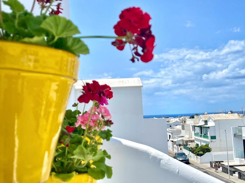 a yellow pot with flowers on a balcony at Sunrise IN LOFT in Playa Honda
