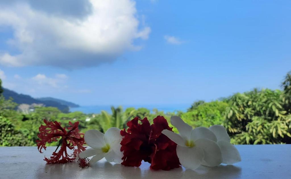 zwei rote und weiße Blumen auf einem Tisch in der Unterkunft Cella Villa in Anse a La Mouche