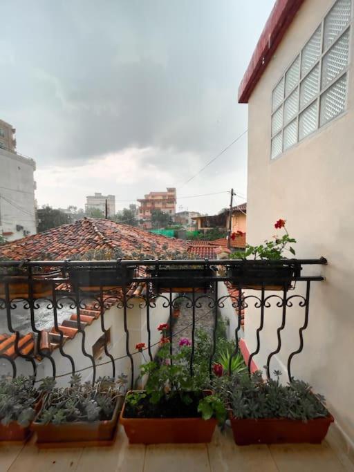 Balkón nebo terasa v ubytování Vila Kodra