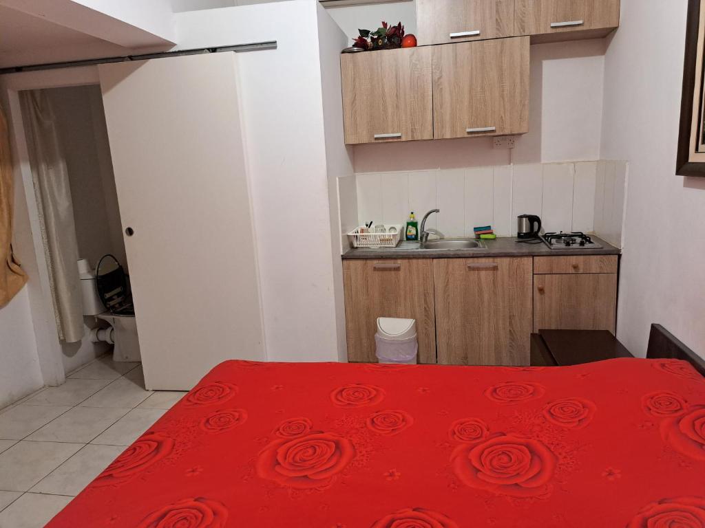 Kuchyň nebo kuchyňský kout v ubytování City Large Studio