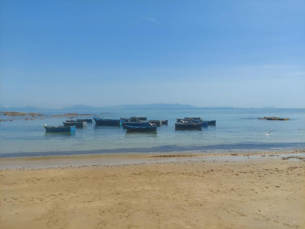 a group of boats in the water on the beach at Blue Horizon-Ghougine in Tangier