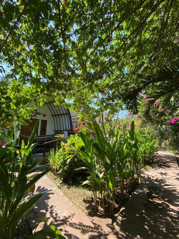 Mustika Ocean Lodge - 5