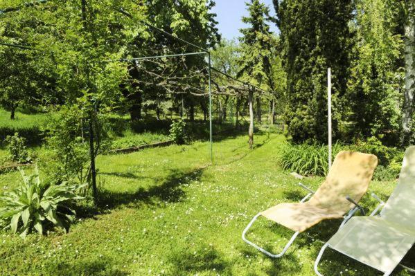 Zahrada ubytování Gasthof Hotel Zur goldenen Krone