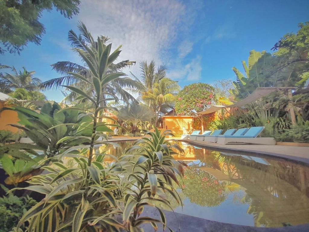 Бассейн в Laguna Gili или поблизости