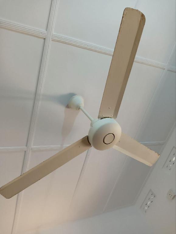 The White House - 13