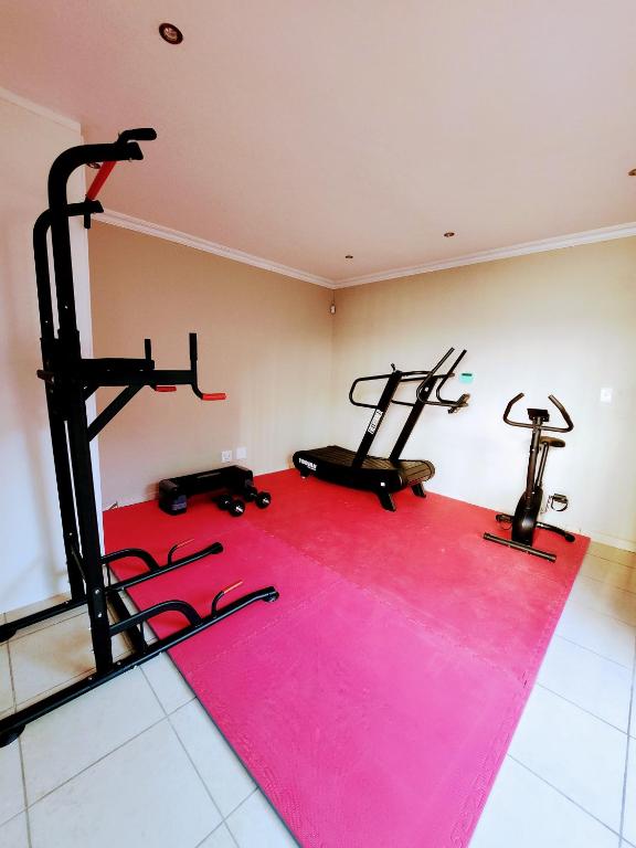 a fitness room with two tread machines on a pink rug at 136 on 4th in Johannesburg