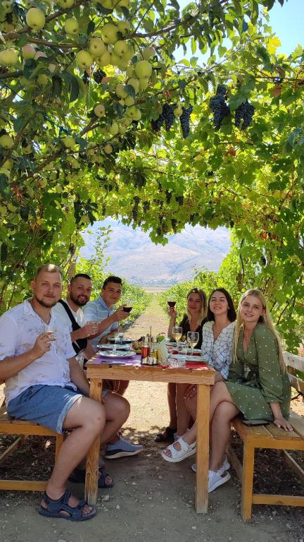 a group of people sitting at a picnic table under a tree at The Barrels Ms in Gjirokastër