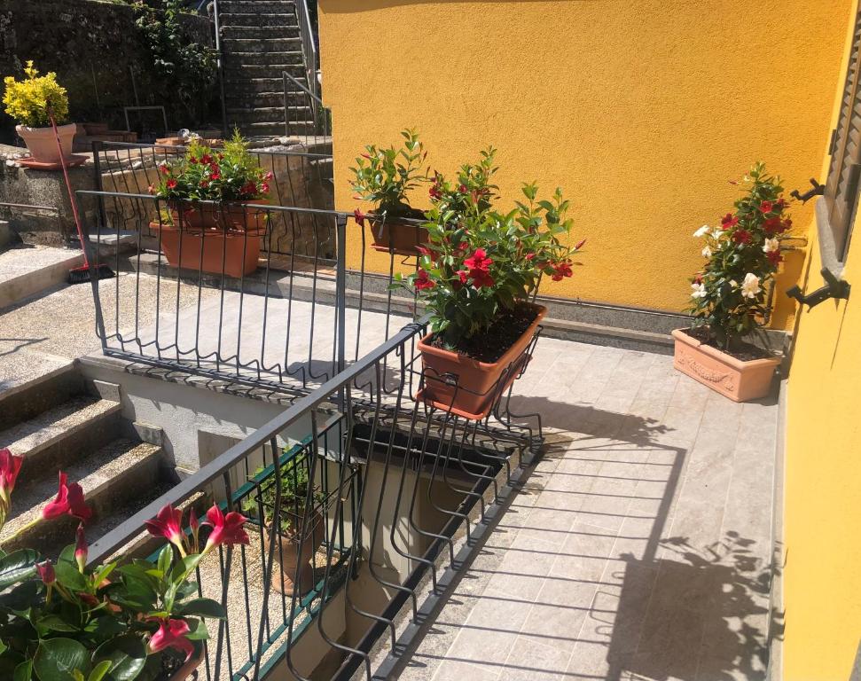 Fotografia z galérie ubytovania Belvedere v destinácii Montefiascone