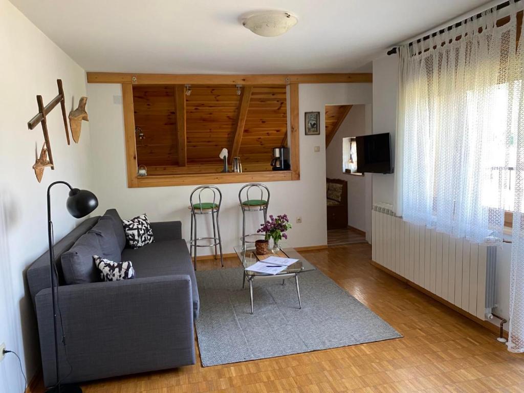 TV a/nebo společenská místnost v ubytování Apartmani Gruzdovo