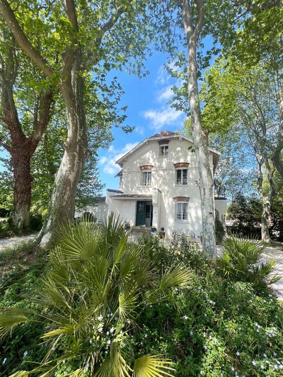 une vieille maison blanche avec des arbres devant elle dans l'établissement Maison Fontaine, à Espira-de-lʼAgly