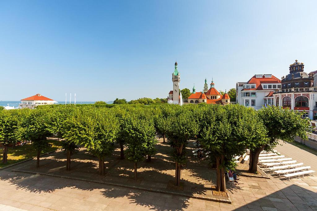 a row of trees in a park in a city at Sheraton Sopot Hotel in Sopot