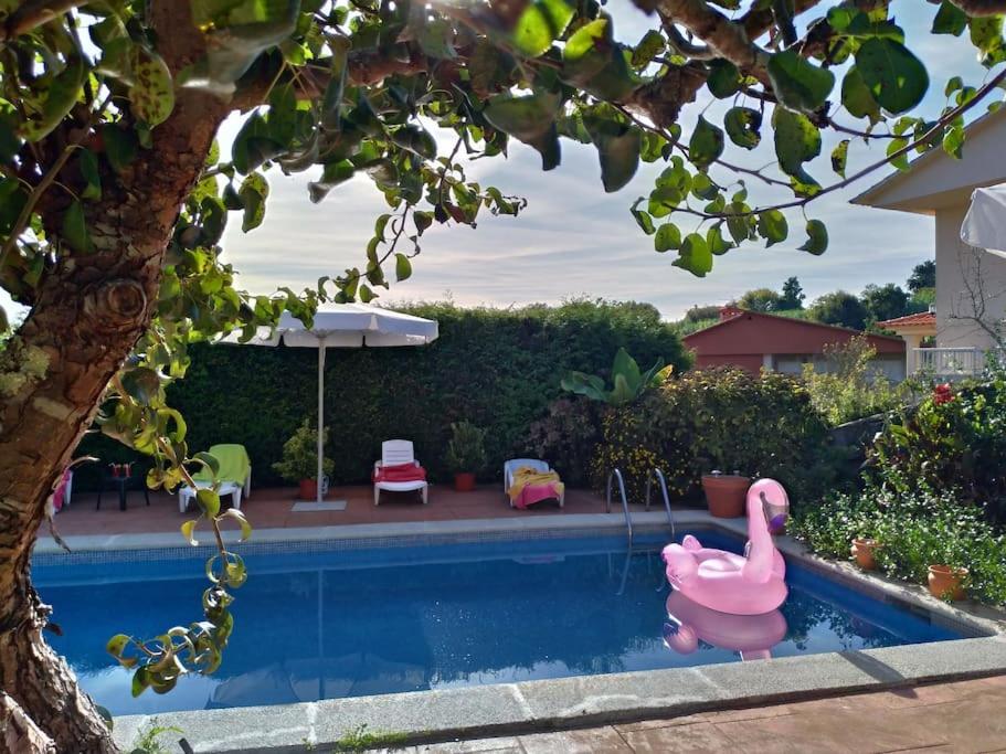un jouet rose flamingo dans une piscine dans l'établissement Swimming pool, beach and garden in Nigran, à Nigrán
