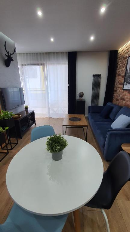 Apartament Midnight Blue - 19