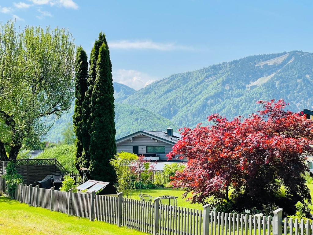 Příroda nedaleko apartmánu