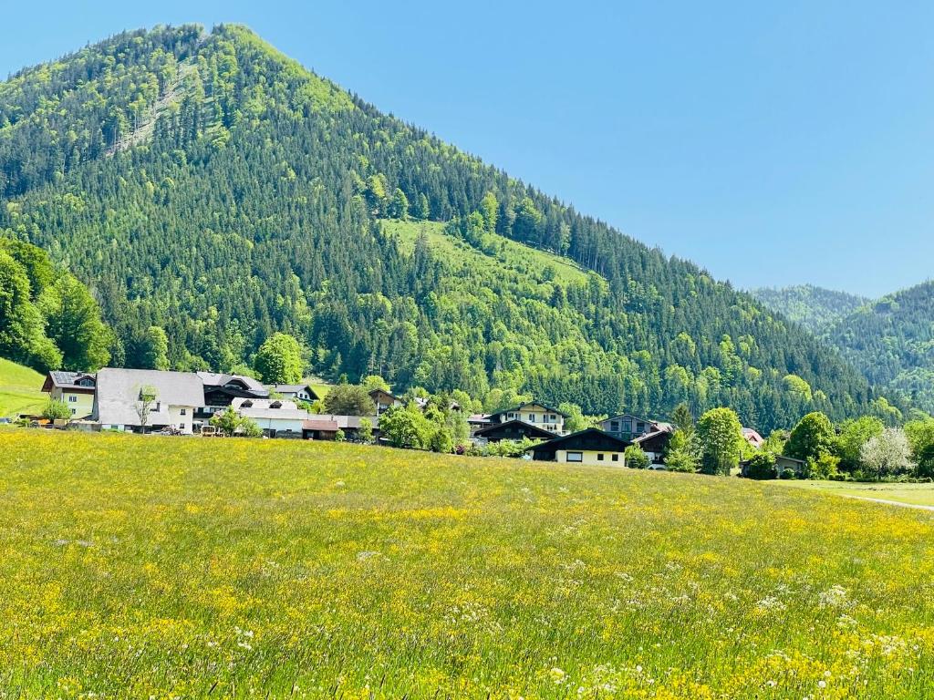 Příroda nedaleko apartmánu