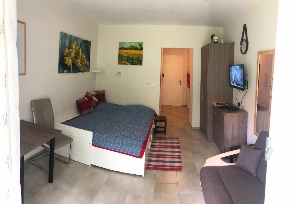 Televízia a/alebo spoločenská miestnosť v ubytovaní Csopak Apartman