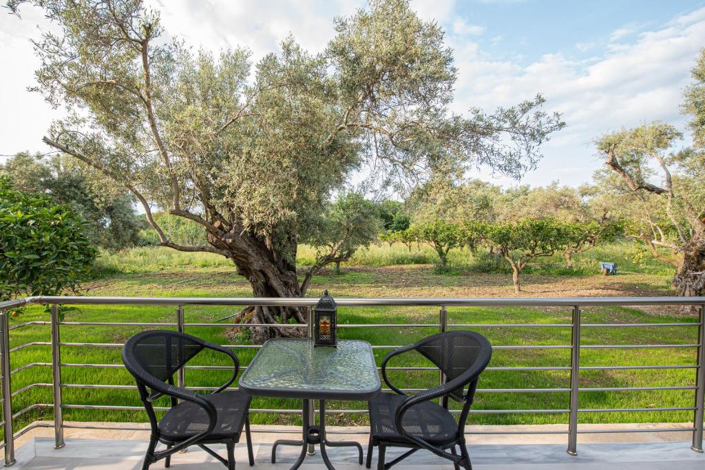 Zahrada ubytování Aerinos private villa