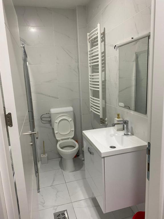 A bathroom at Apartman Popović
