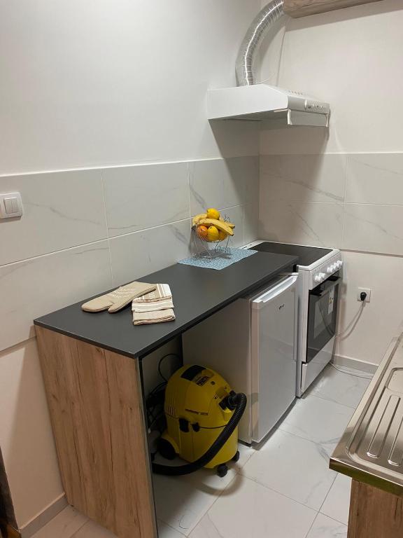 A kitchen or kitchenette at Apartman Popović
