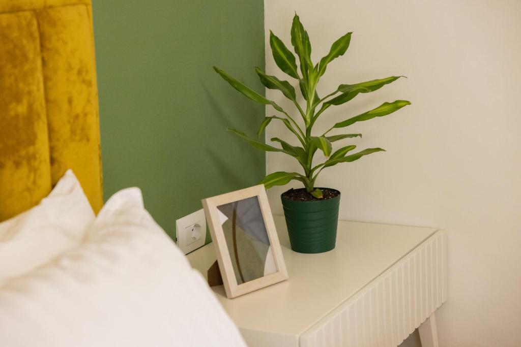 Three doors apartments, Papaya 1-bedroom apartment - Imazhi 9