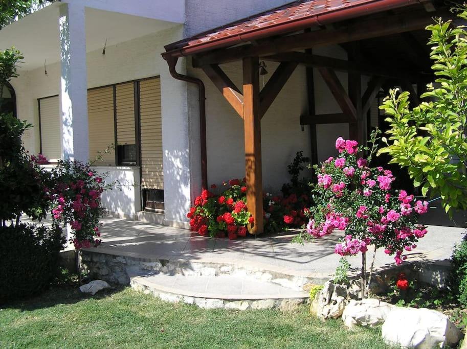 a garden with flowers in front of a house at APARTMAN LUCIA in Ražanac