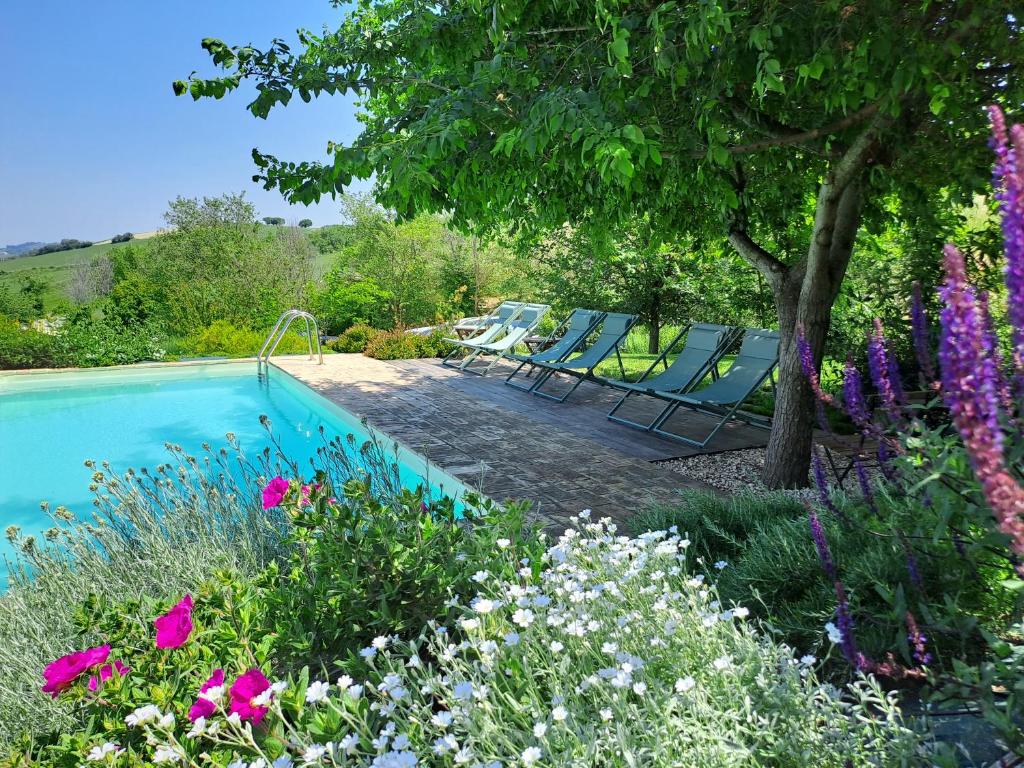 una piscina en un jardín con sillas azules y flores en Dolcedimora, en Appignano