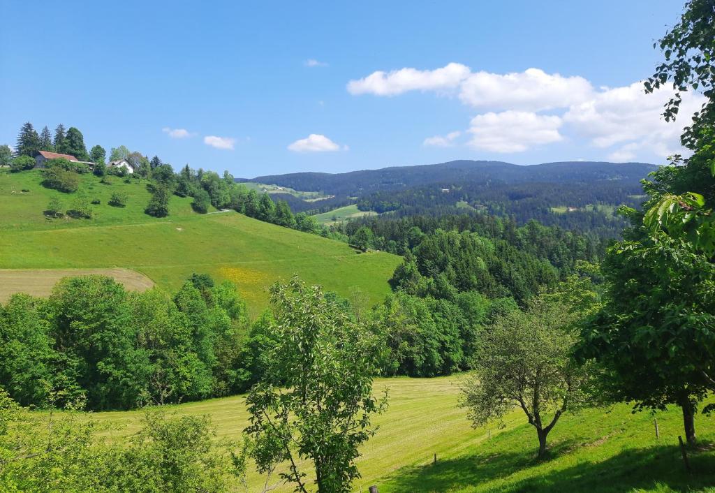 Příroda nedaleko apartmánu