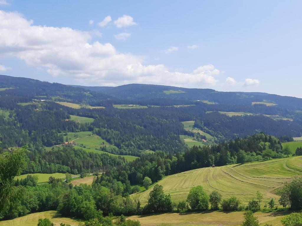 Příroda nedaleko apartmánu