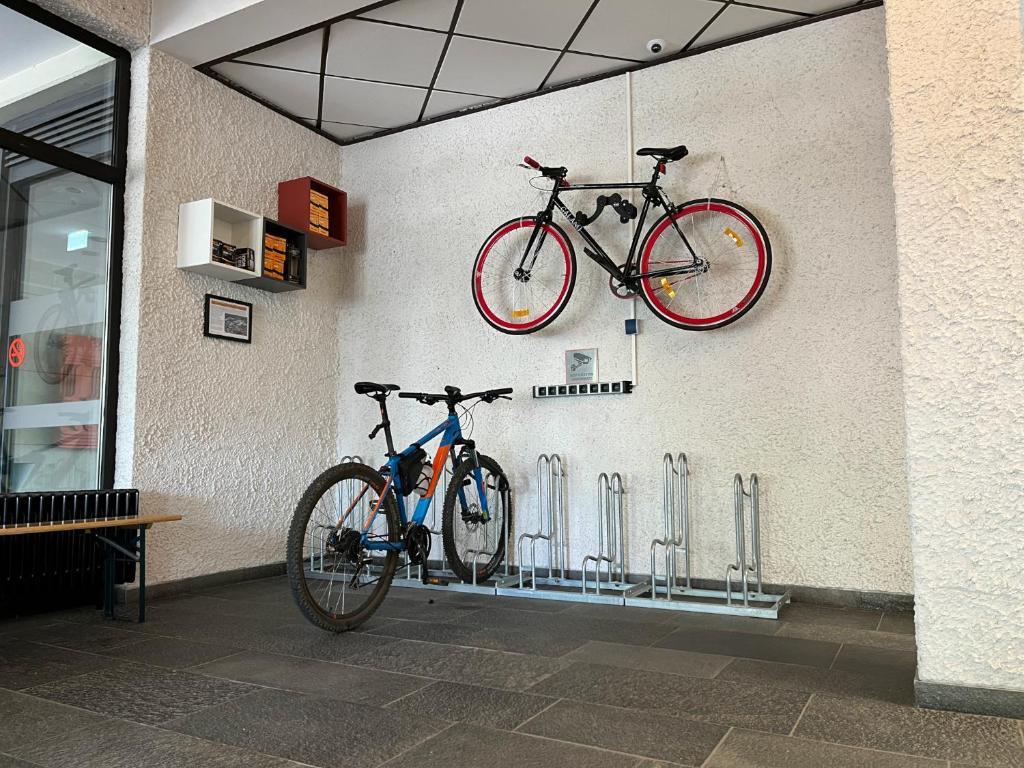 Jízda na kole v ubytování Hotel Touric nebo okolí