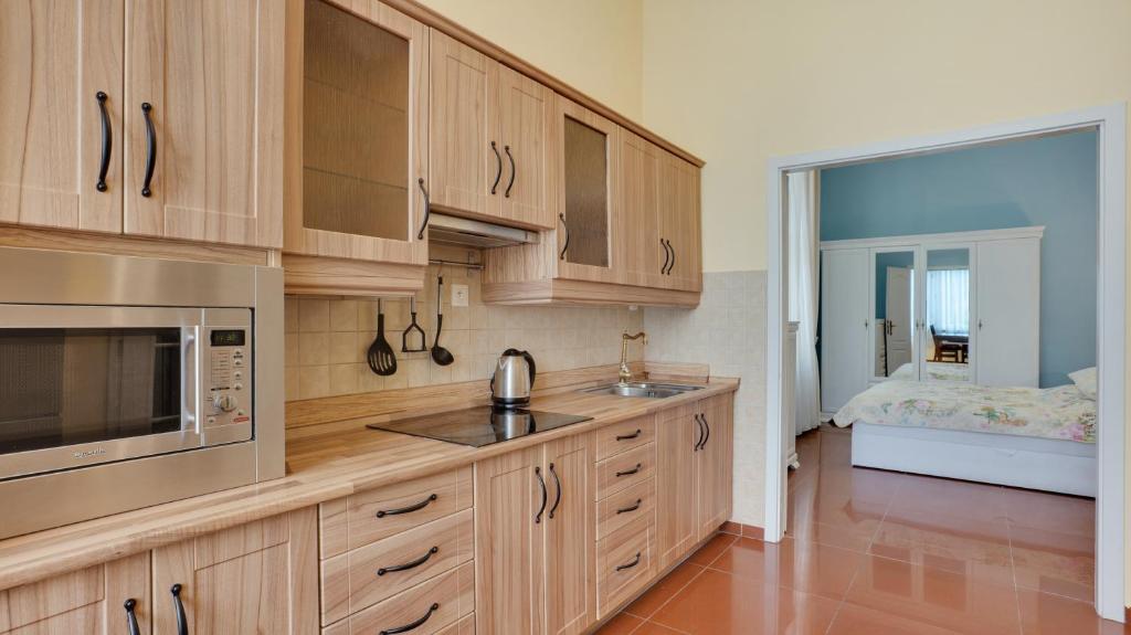 Kuchyň nebo kuchyňský kout v ubytování Aphrodite Hotel Marianske Lazne