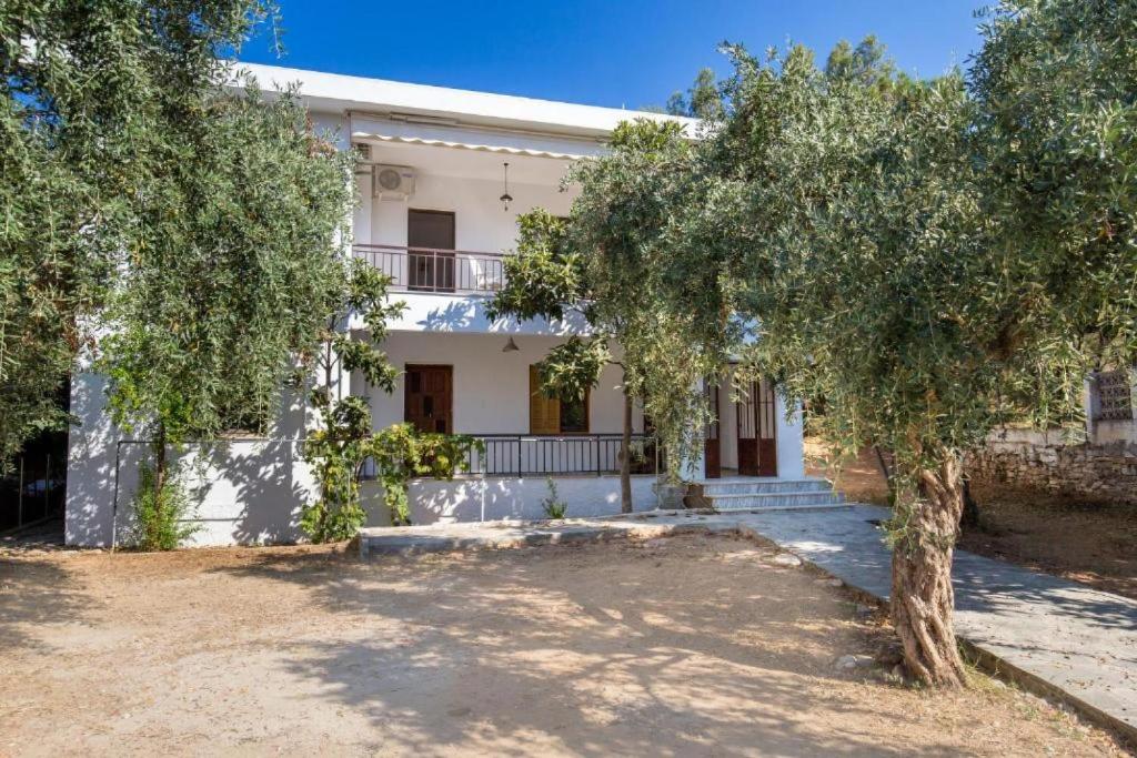 a large white house with trees in front of it at Xanthi's Dream Place in Potos