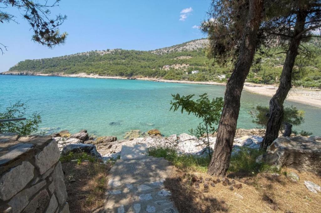 a path leading to a beach with a tree at Petra Mare Apartments in Alyki