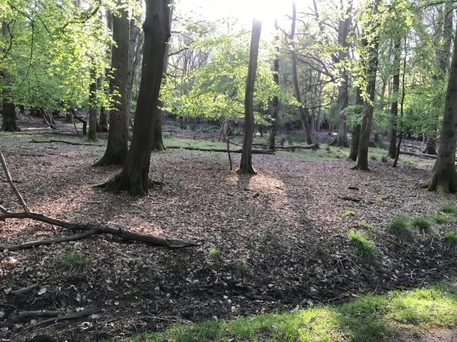 Apartment The Flat, Theydon Bois, Epping, UK