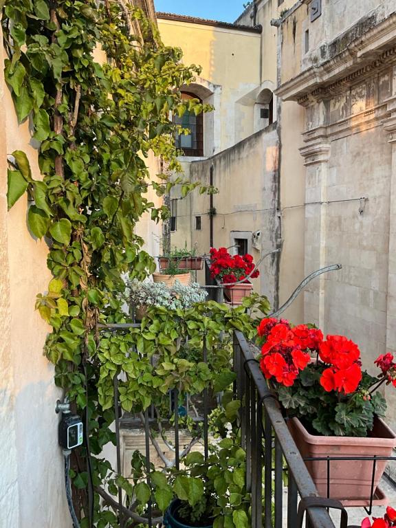 A garden outside Rua 39 fine apartments by Dimore in Sicily