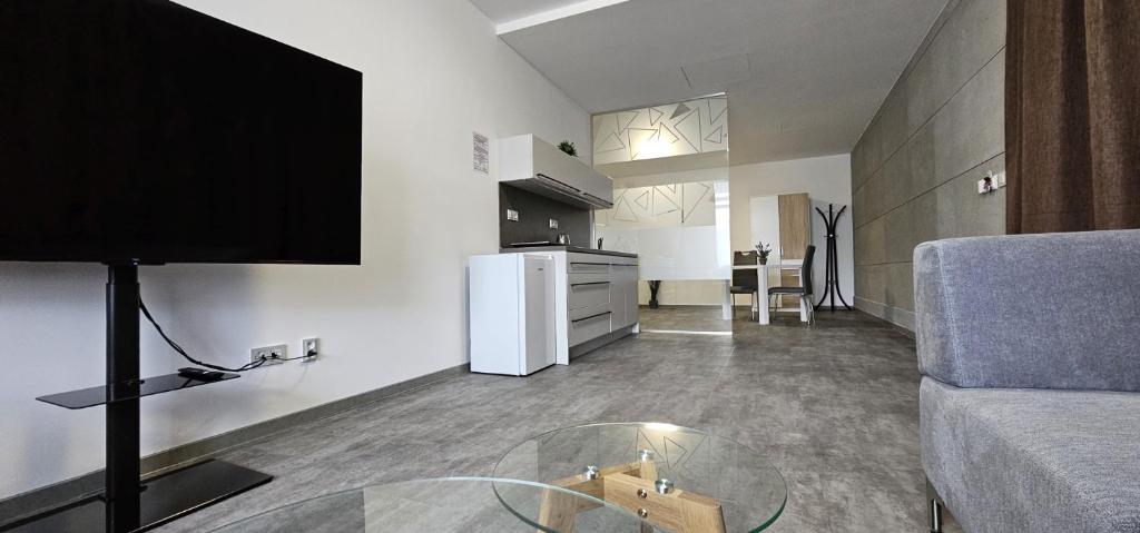 Kuchyň nebo kuchyňský kout v ubytování Apartmány Venuše
