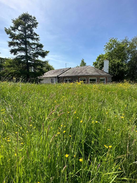 Zahrada ubytování Balsoon Lodge
