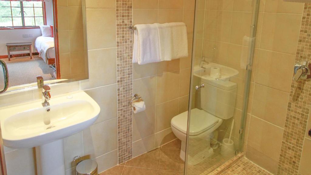 a bathroom with a toilet and a sink and a shower at The Ark Lodge in Nyeri